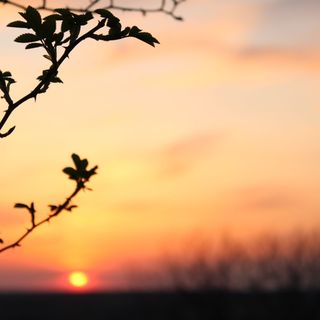 Kékcsengő Vendégház Tamási (2)