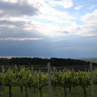 Kékcsengő Vendégház Tamási (5)