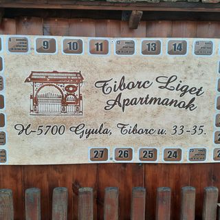 For You Apartman Gyula (4)