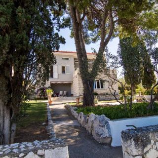 Apartment Cypress Okrug Gornji (3)