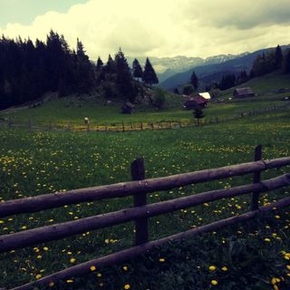 Casa În Vârf Fundățica (3)