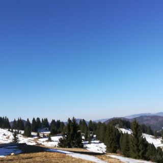 Casa În Vârf Fundățica (5)