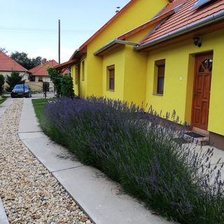 Levendula Vendégház Tiszafüred (3)