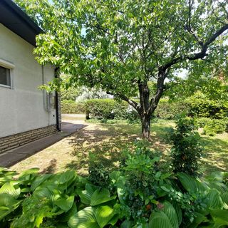 Parti Nyaraló Balatonfüred (3)