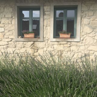 Hungry Grape Guests Vendégház Erdőbénye (2)