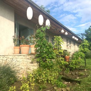 Hungry Grape Guests Vendégház Erdőbénye (4)