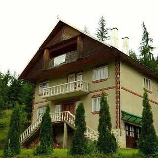 Casa de vacanță Padurea Verde Horea (2)