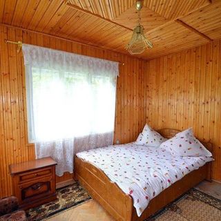 Casa de vacanță Padurea Verde Horea (5)