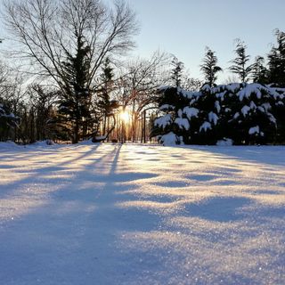 Parva Foresta Apartman Miskolc (3)