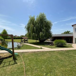 Battonya House Battonya (3)