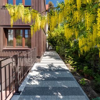 Zamorski BY THE SEA (2)