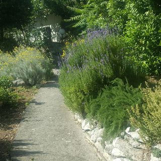 Apartmanok Parkolóhellyel Gradac, Makarska - 6724 Gradac (5)