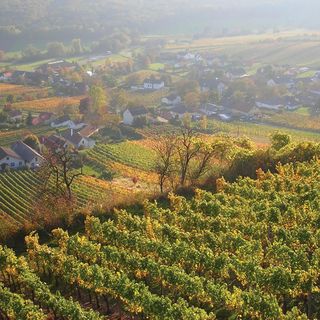 Vendégház Moschendorf - ABU108 (5)