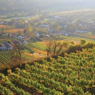 Vendégház Moschendorf - ABU108 (5)