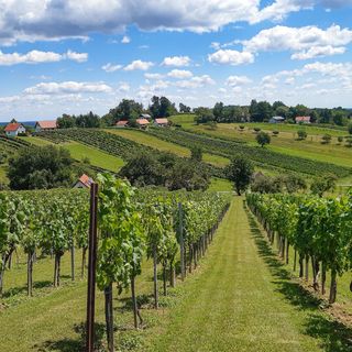 Vendégház Glasing - ABU178 (5)