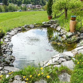 Apartman Wagrain - ASA975 (3)