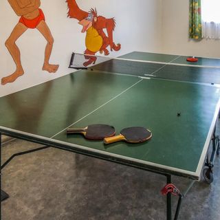 Apartman Wagrain - ASA028 (3)