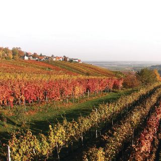 Vendégház Kohfidisch - ABU119 (4)