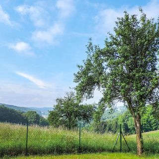 Vendégház Feldbach - AST245 (5)