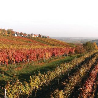 Vendégház Heiligenbrunn - ABU121 (3)