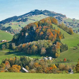 Apartman Ertl - ANO113 (5)