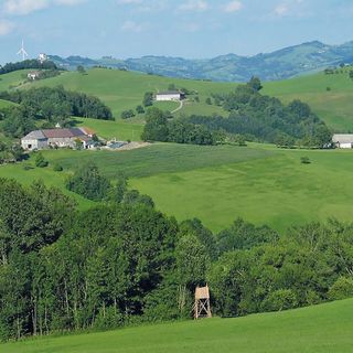 Apartman Ertl - ANO113 (4)