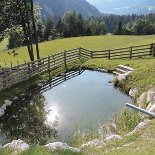 Apartman Schladming - AST031 (5)