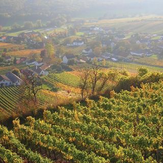 Vendégház Gaas - ABU133 (4)