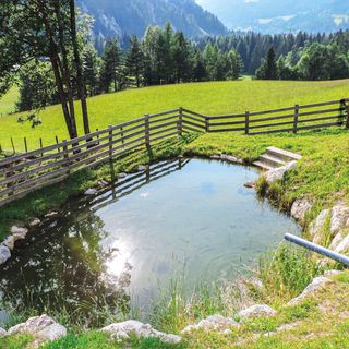 Apartman Schladming - AST035 (5)