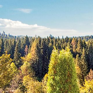 Apartman Wagrain - ASA388 (3)