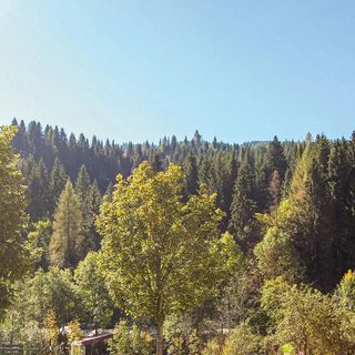 Apartman Wagrain - ASA388 (4)