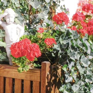 Apartman Fügen - ATI060 (5)