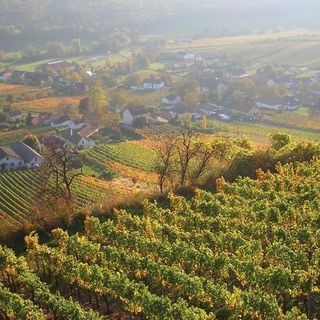 Vendégház Strem - ABU142 (5)