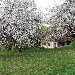 Vendégház Gerersdorf - ABU139 (5)