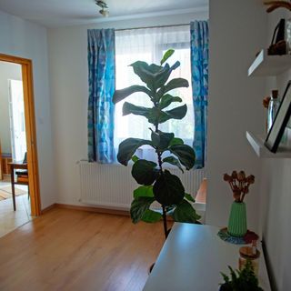 Ginkgo Vendégház Pécs (3)