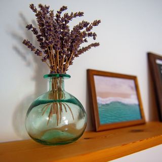 Ginkgo Vendégház Pécs (4)