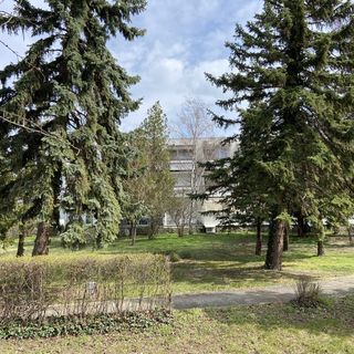 Csillag Apartman Csopak (5)