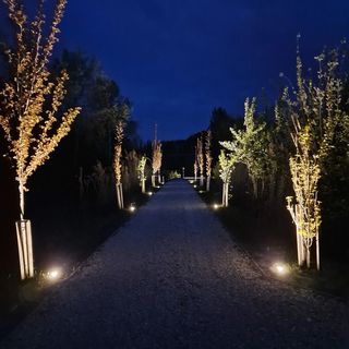 Intertranscoop Lake House Vámosszabadi (2)