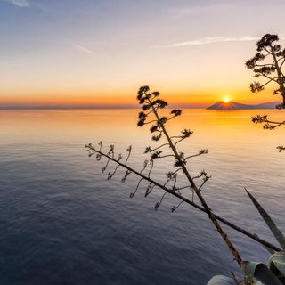 Apartman Podstrana - CDT692 (4)