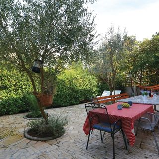 Apartman Stari Grad - CDH537 (2)