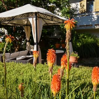 Apartmani i Sobe Frane Palit (2)