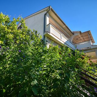 Apartmani i Sobe Frane Palit (3)