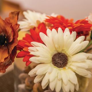 Apartman Senj - CKV240 (5)