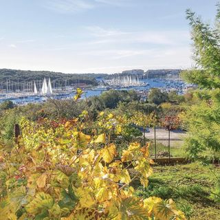 Apartman Pula - CIR077 (2)