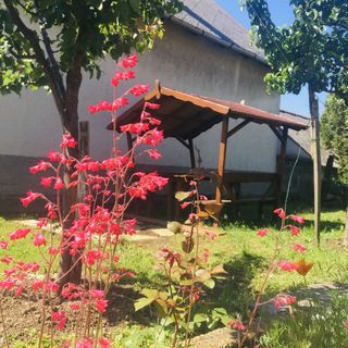 Erzsi Mamó Apartman Szentbékkálla (2)