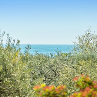 Apartman Lovrečica - San Lorenzo - CIU815 (3)