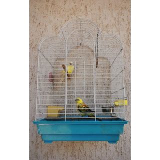 Apartman Vodice - CDV894 (4)