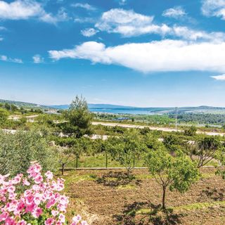 Apartman Slivnica - CDA267 (3)