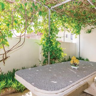 Apartman Ražanac - CDA465 (2)