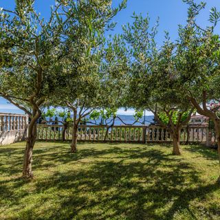 Apartman Duće - CDC655 (5)